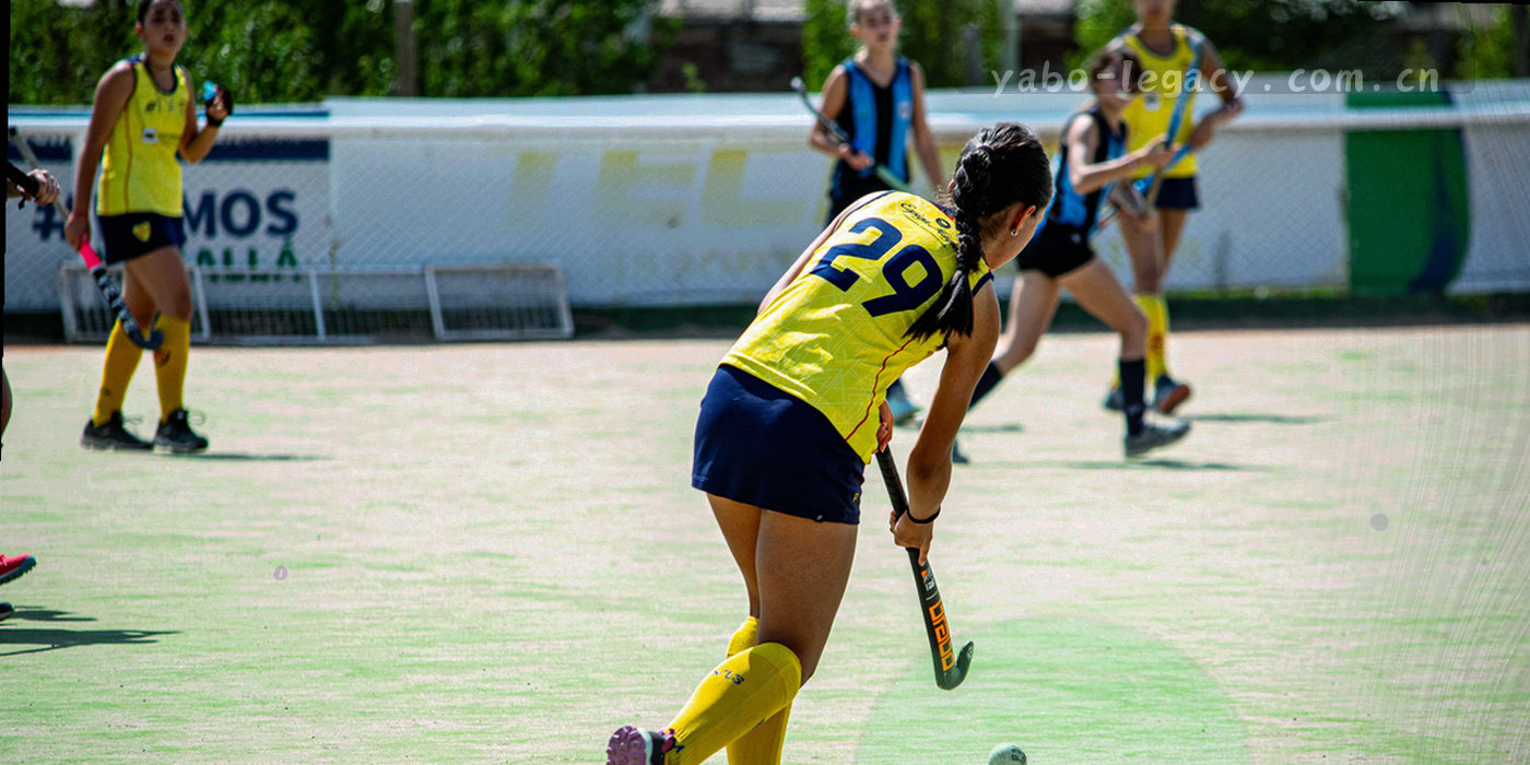 抽象线条信息图，示意本地检索在浏览器内完成匹配、表单内容经网络送达内容团队的两条不同数据路径，色调为墨绿与竹青